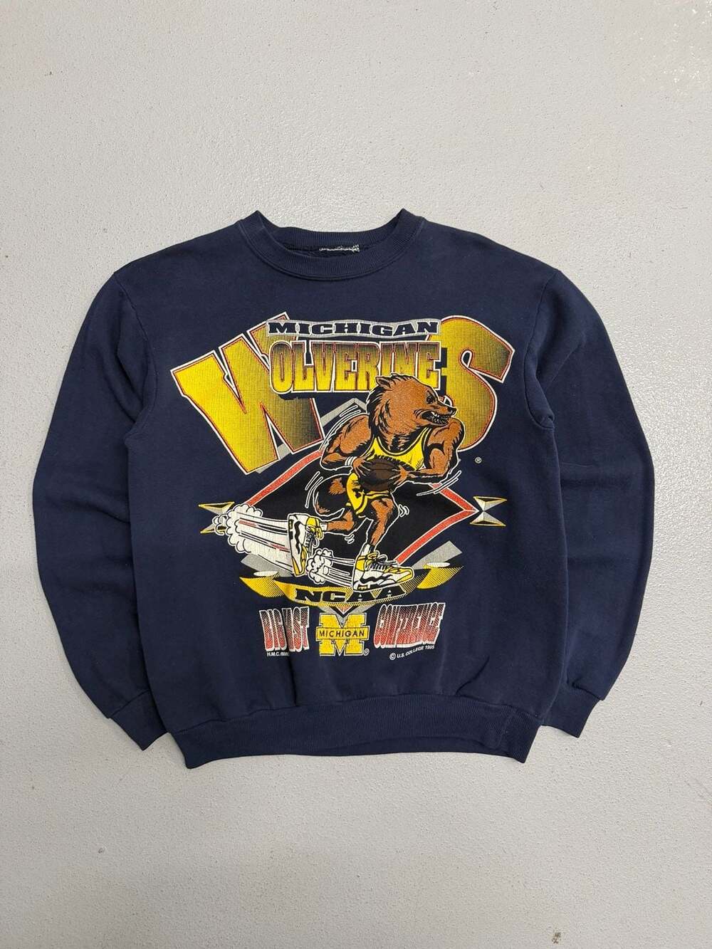 Vintage 1995 Michigan Wolverines NCAA Big Ten Conference Graphic Sweatshirt